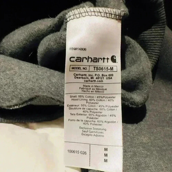 Carhartt Rain  Defender Loose Fit Heavyweight Sweatshirt Hoody, NWT - Picture 2 of 4
